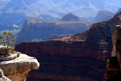 Grand Canyon 2008